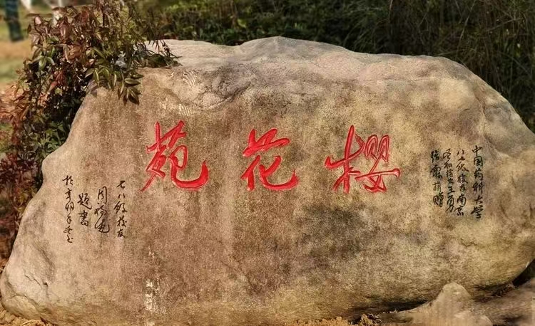 圖3.jpg 圖3.jpg